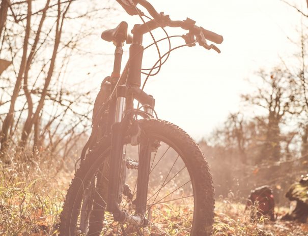 Close up of a mountain bike outdoors